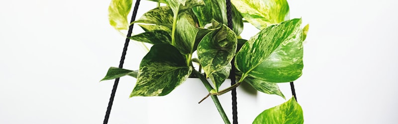 世界杯最佳年轻球员颁奖仪式 - 新星获得最佳年轻球员奖